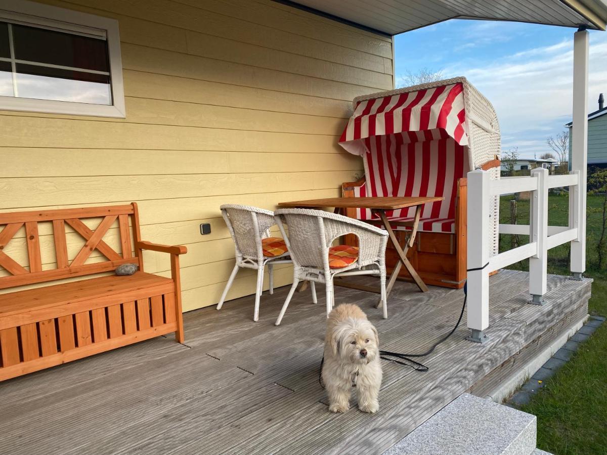 Campsite Ostermade Klintdoerp 110 Michaelsdorf (Ostholstein)